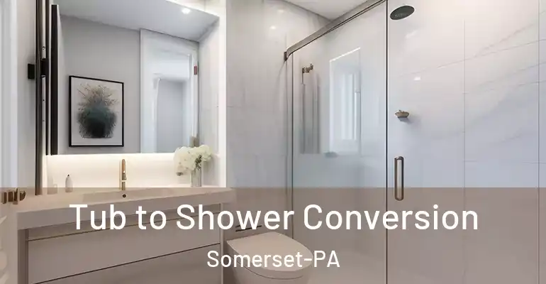 inner Bathroom imggen Tub to Shower Conversion Somerset-PA