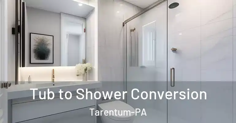 inner Bathroom imggen Tub to Shower Conversion Tarentum-PA