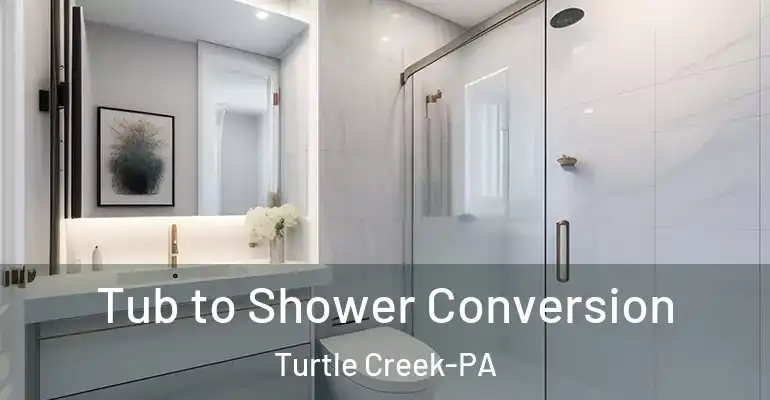 inner Bathroom imggen Tub to Shower Conversion Turtle Creek-PA