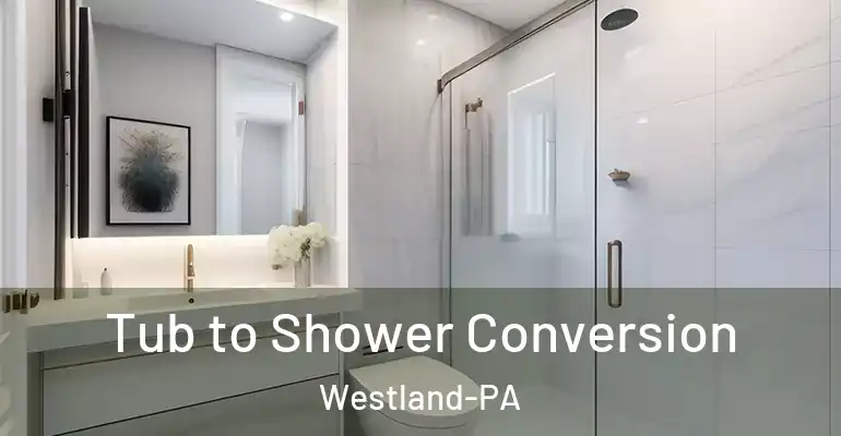inner Bathroom imggen Tub to Shower Conversion Westland-PA