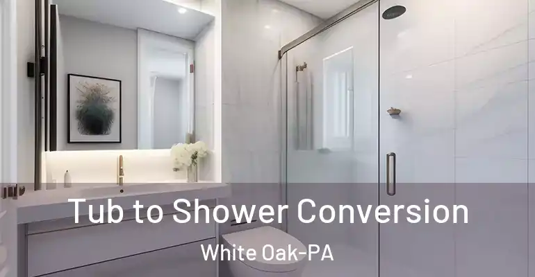 inner Bathroom imggen Tub to Shower Conversion White Oak-PA