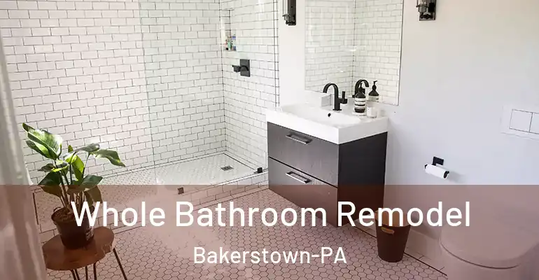 inner Bathroom imggen Whole Bathroom Remodel Bakerstown-PA