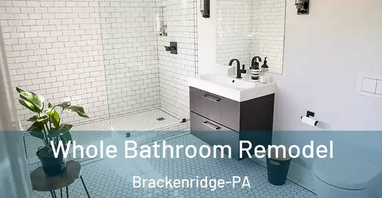 inner Bathroom imggen Whole Bathroom Remodel Brackenridge-PA