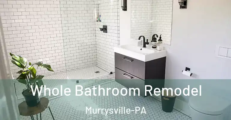 inner Bathroom imggen Whole Bathroom Remodel Murrysville-PA