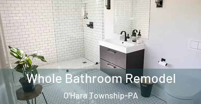 inner Bathroom imggen Whole Bathroom Remodel O'Hara Township-PA