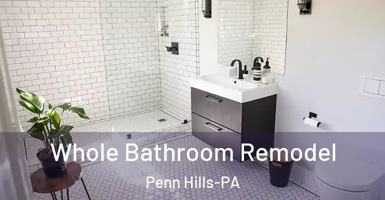 inner Bathroom imggen Whole Bathroom Remodel Penn Hills-PA
