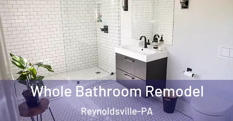 inner Bathroom imggen Whole Bathroom Remodel Reynoldsville-PA