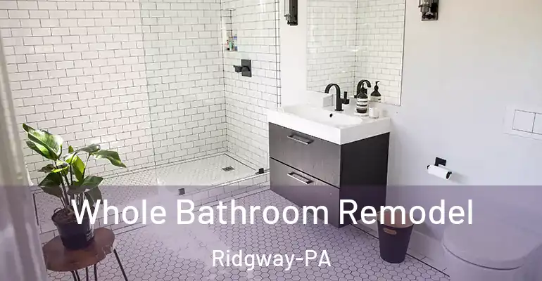 inner Bathroom imggen Whole Bathroom Remodel Ridgway-PA
