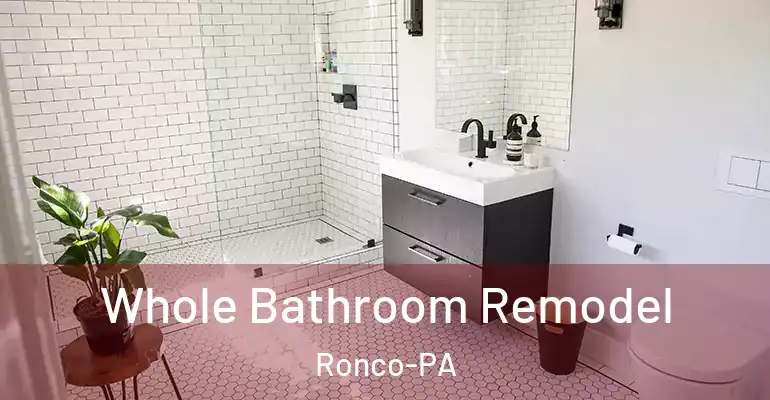 inner Bathroom imggen Whole Bathroom Remodel Ronco-PA
