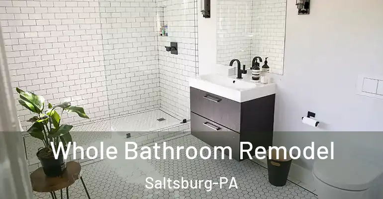 inner Bathroom imggen Whole Bathroom Remodel Saltsburg-PA