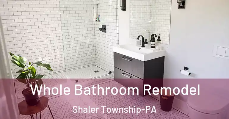 inner Bathroom imggen Whole Bathroom Remodel Shaler Township-PA