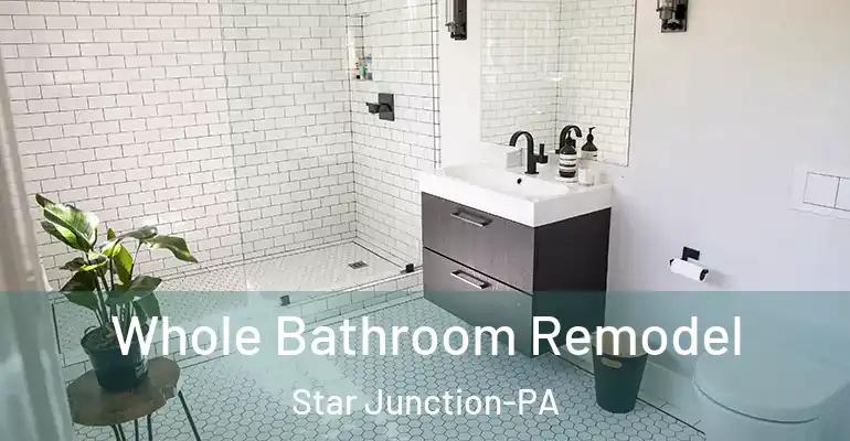 inner Bathroom imggen Whole Bathroom Remodel Star Junction-PA