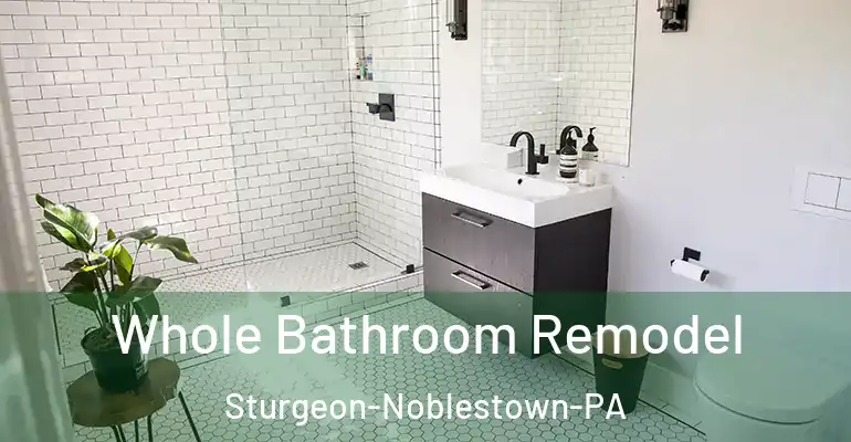 inner Bathroom imggen Whole Bathroom Remodel Sturgeon-Noblestown-PA