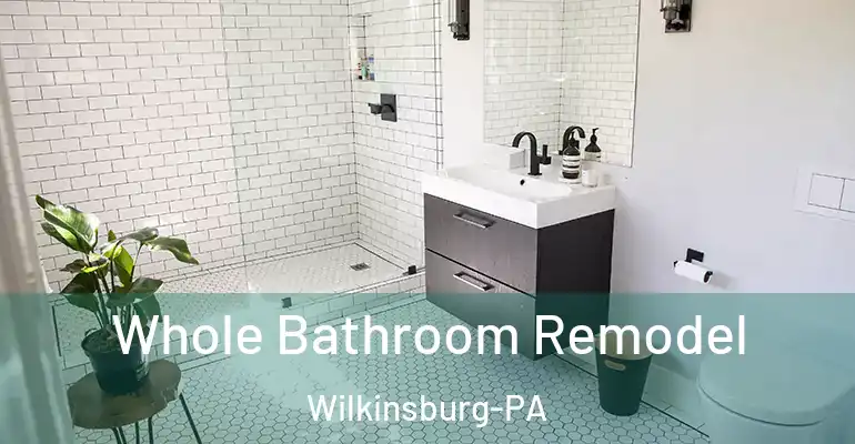 inner Bathroom imggen Whole Bathroom Remodel Wilkinsburg-PA